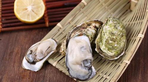 国产生蚝推荐视频,视频推荐带你领略本土海鲜魅力