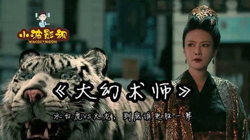 国产幻术降世视频,揭秘国产奇幻巨制的奇幻之旅