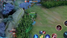 国产打野视频,热血激战，谁主沉浮？