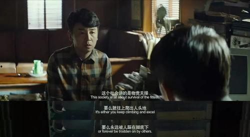 国产爱情电影 解说视频,浪漫瞬间，情感共鸣