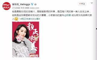 国产爱马仕代言视频,时尚与传统的完美融合