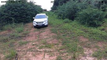 国产山涧越野视频