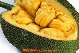 国产菠萝怎么去皮视频