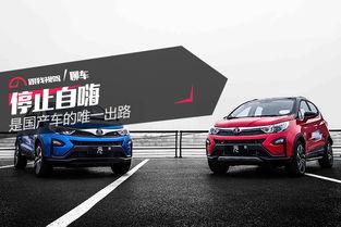 国产车堵住出路视频下载,视频揭秘如何堵住出路  第1张