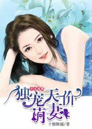 国产言情小说解说视频下载,浪漫情缘，一网情深  第2张