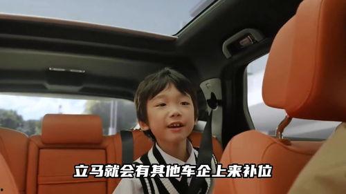 国产电车真相大全视频  第3张