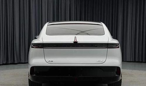 小老外坐国产车视频,小老外体验之旅