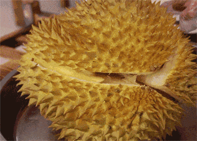 榴莲视频国产色板下载